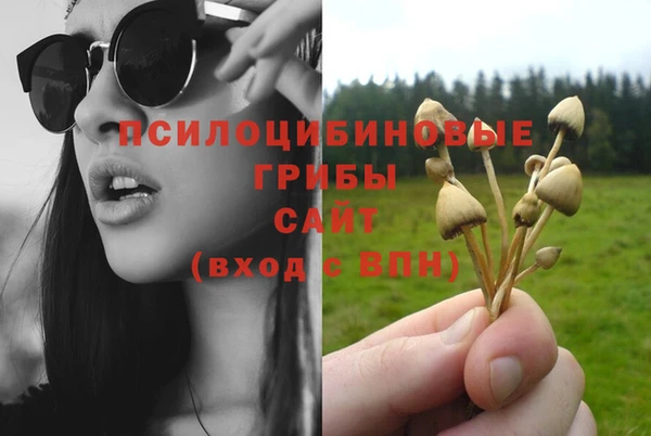 МДПВ Алексеевка