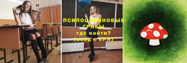 МДПВ Алексеевка
